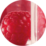 Story Cover - Raspberry