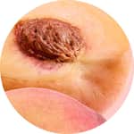 Story Cover - Pêche