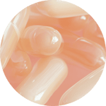 Story Cover - Lactobacillus