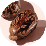 Story Cover - Fibre de ricin