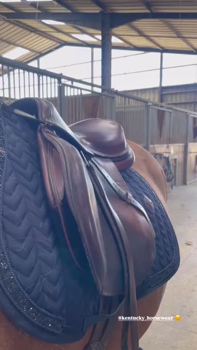 Jodhpurs Kentucky Jods PNS - Femme Taille 24 - Siège De Selle Marine - Très Bon état