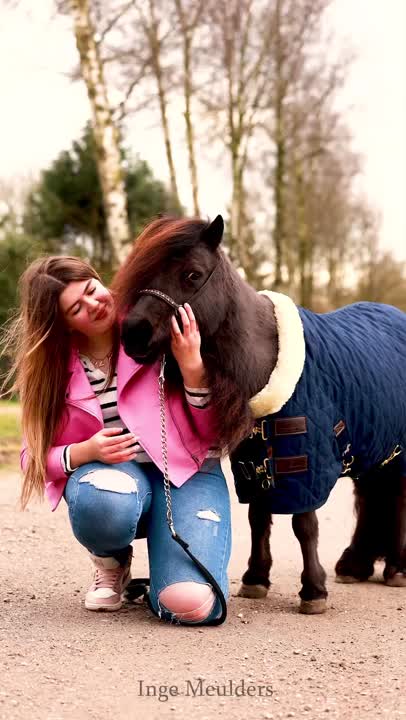 Grandes Bottes De Transport Kensington Pour Cheval, Vert Et Marron, Protection Polaire, Neuves