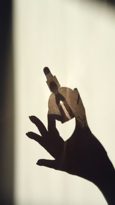 Story Video for PDP PAYS STORY 1